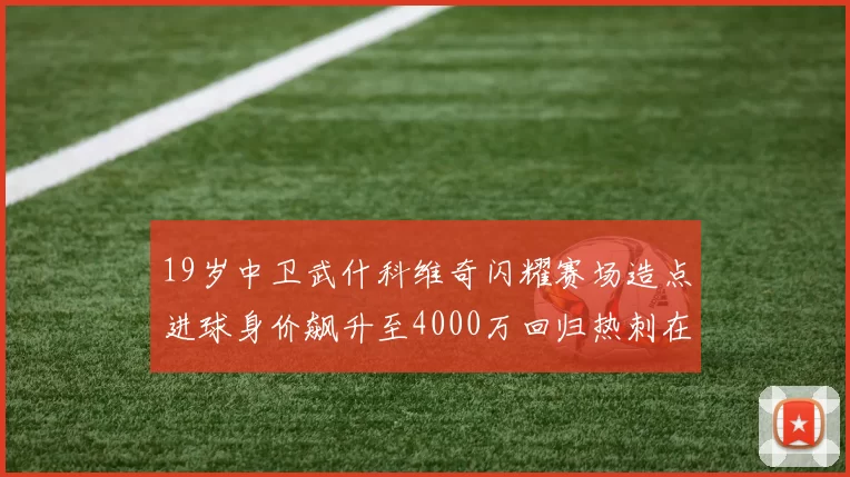 19岁中卫武什科维奇闪耀赛场造点进球身价飙升至4000万回归热刺在即