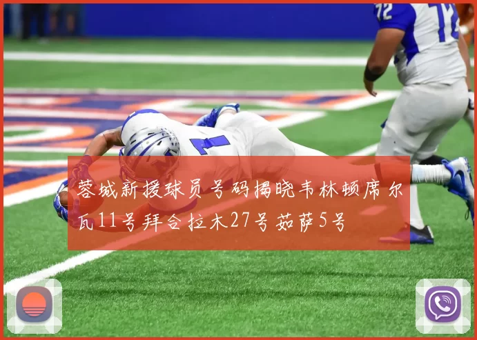 蓉城新援球员号码揭晓韦林顿席尔瓦11号拜合拉木27号茹萨5号
