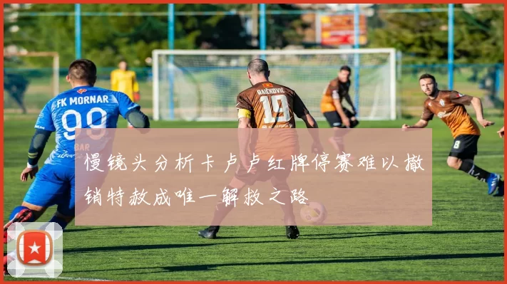 慢镜头分析卡卢卢红牌停赛难以撤销特赦成唯一解救之路