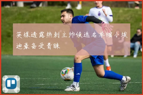 英媒透露热刺主帅候选名单缩小埃迪豪备受青睐