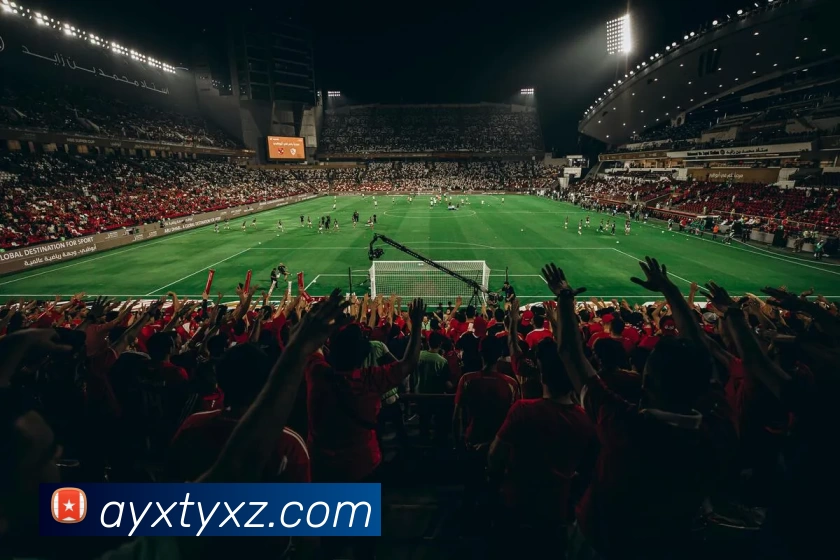 爱游戏体育下载平台生态图