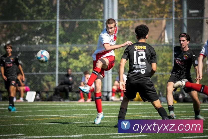 爱游戏体育下载APP 封面图